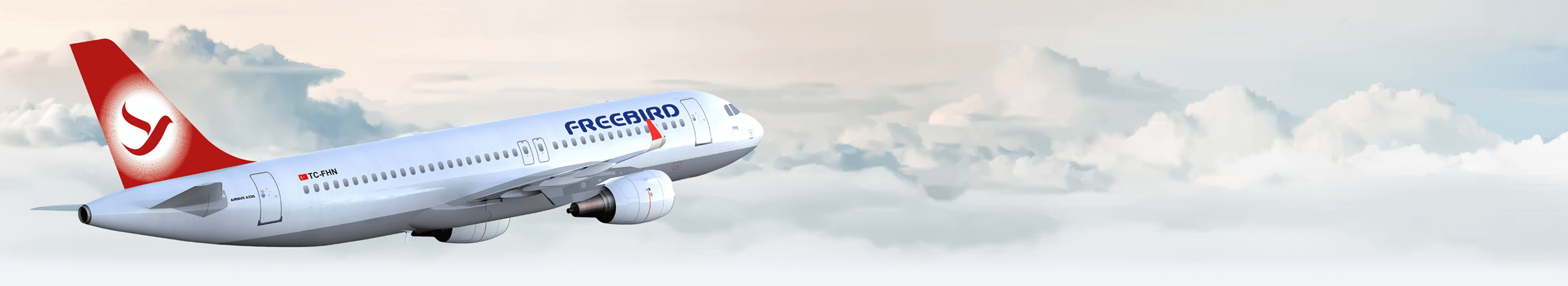 Information for Flight